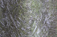 Nuffield fibreglass roof work